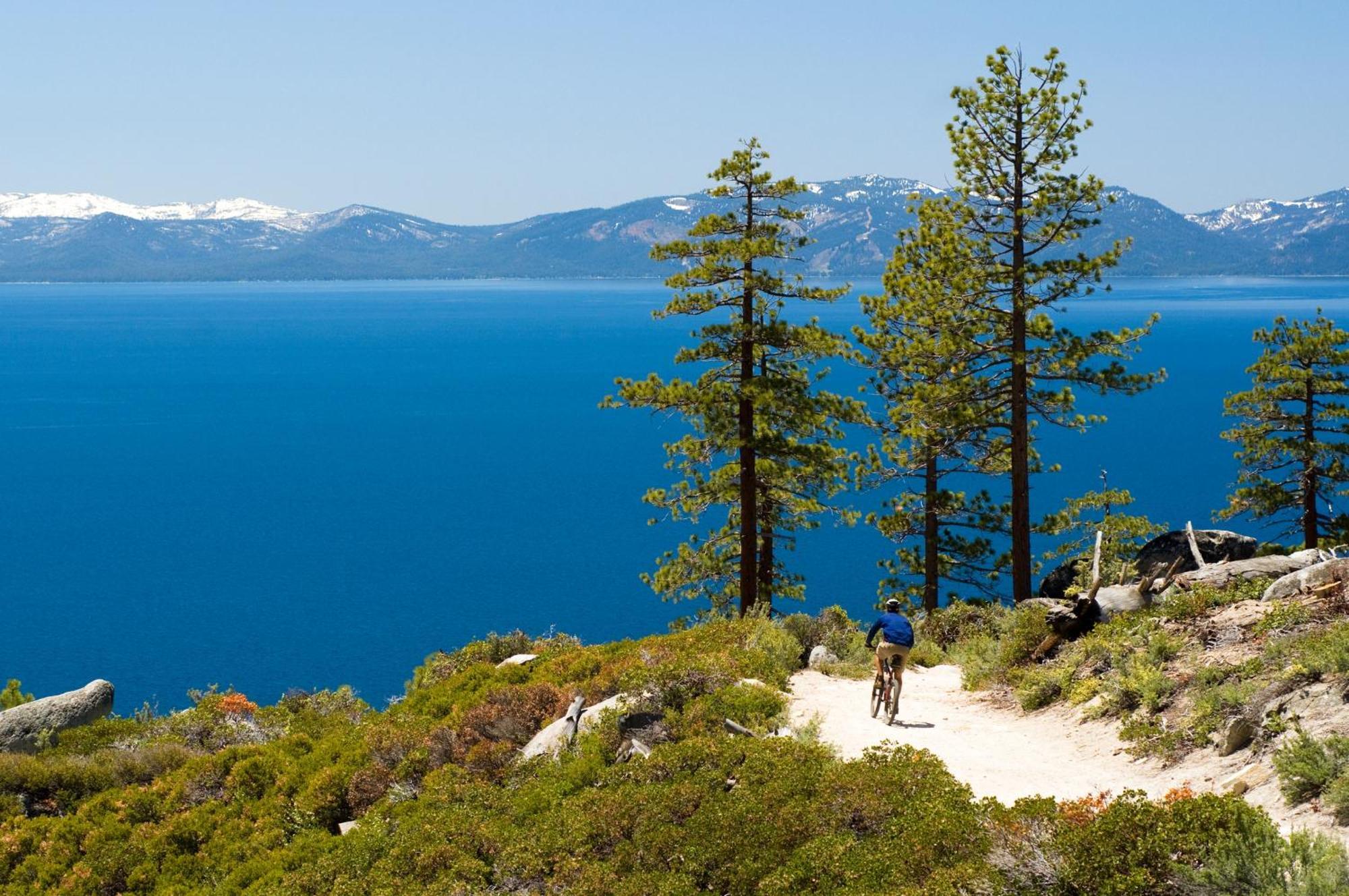 Lakeland Village 495 - Stellers Jay'S Nest Hot Tubs Beach South Lake Tahoe Exterior photo